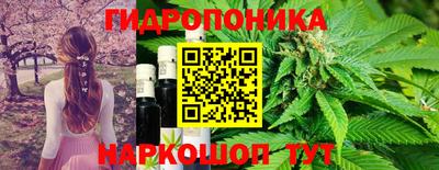 спиды Кунгур