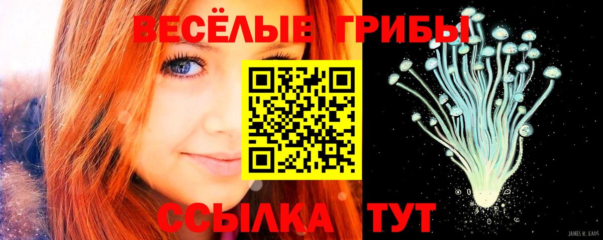 Псилоцибиновые грибы Psilocybe  Вход с VPN  Железногорск  Галлюциногенные грибы Magic Shrooms 